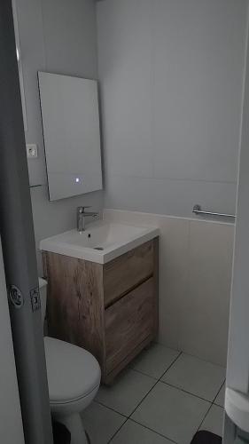 un bagno con lavandino, WC e specchio di Chez Pascal et Claudia a Kumak