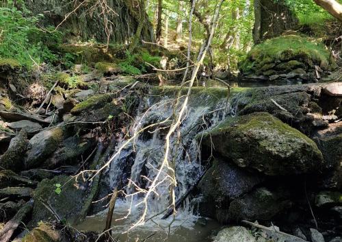 a waterfall in a forest with rocks and trees at Dôme géodésique exceptionnel en pleine nature in Flamizoulle