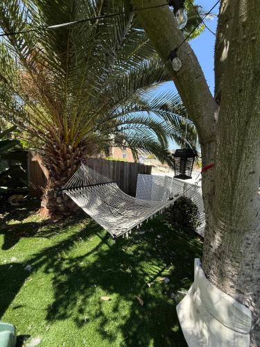 a hammock in a palm tree in a yard at Casa California - Backyard, BBQ, Firepit & Near Beaches in San Diego