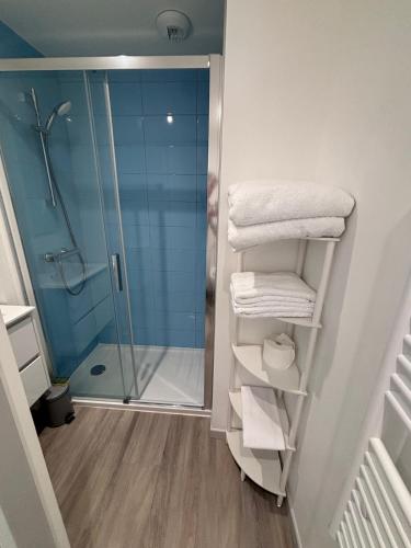 La salle de bains est pourvue d'une douche et de serviettes sur les étagères. dans l'établissement Studio rénové - Centre Ville de semur, à Semur-en-Auxois