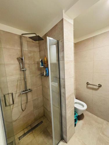 a bathroom with a shower and a toilet at Lazure apartment in Tivat