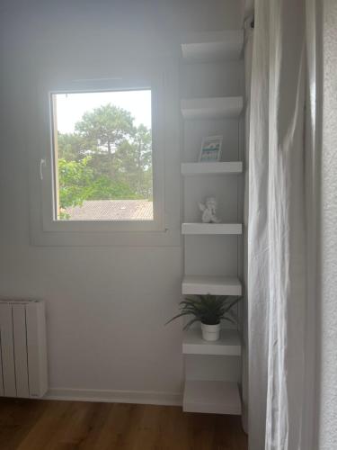 une chambre blanche avec une fenêtre et une plante en pot dans l'établissement Maison zen Lacanau Océan 3 personnes, à Lacanau
