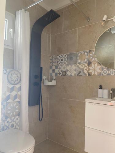 une salle de bain avec douche, toilettes et miroir dans l'établissement Maisonnette climatisée à louer 5 nuits minimum dans résidence fermée proche mer, à Bandol