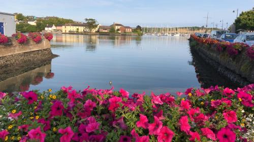 a body of water with pink flowers and cars parked at The Park Lodge in Kinsale