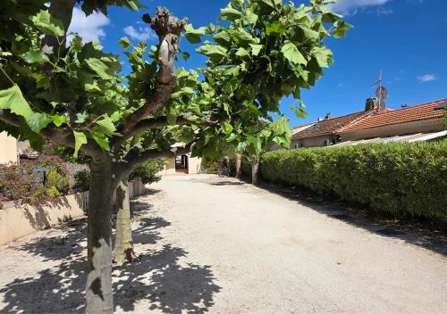 Grand Studio aux Salins - climatisation - terrasse - 90m de la mer