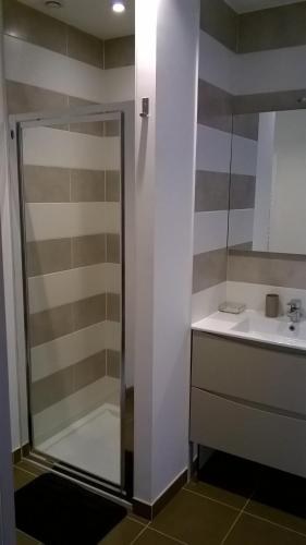 une salle de bain avec douche et lavabo dans l'établissement Apartment Brittany facing and seaside, à Plomodiern