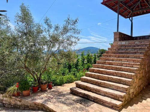 Gallery image of Vila Horizon in Sarandë