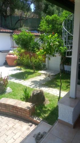 a small tree in a yard next to a house at Villettine le Marie in Ricadi