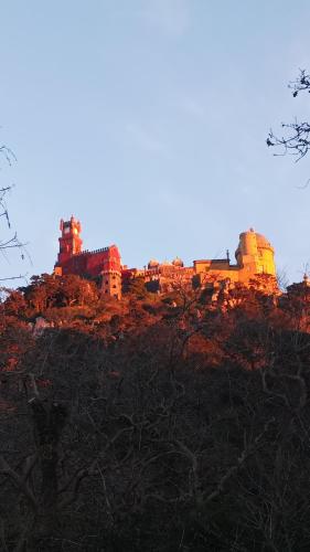Φυσικό τοπίο κοντά σε αυτό το διαμέρισμα