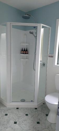 a bathroom with a shower and a toilet at Awatuna Sunset Lodge in Hokitika