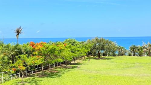 a row of plants with the ocean in the background at 鳳凰城堡2F in Chia-p'ing