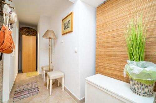 Apartments with parking space Buici, Dubrovnik - 24565