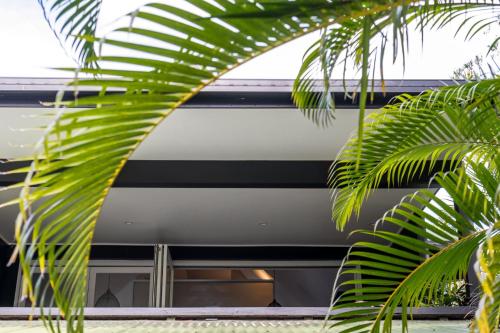 a building with a palm tree in front of it at Arya in Byron Bay