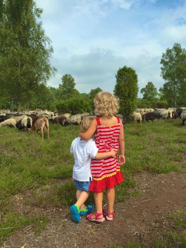two little girls standing in front of a herd of sheep at Akzent Hotel Berlin in Bad Bevensen