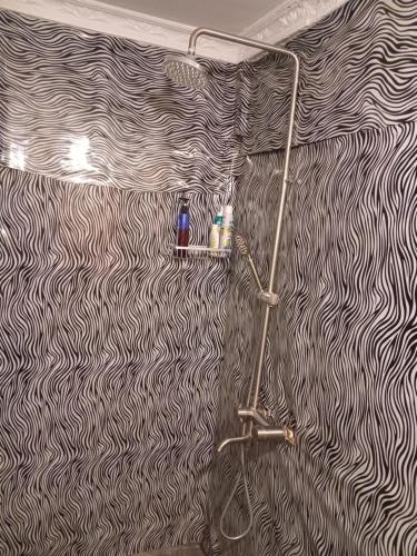 a shower in a bathroom with a black and white wallpaper at Patience Airport cottages in Boma la Ngombe