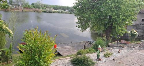 a view of a river with a wooden dock at Jarin raj Morović in Morović