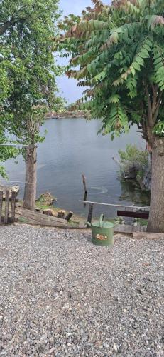 a lake with a bird swimming in the water at Jarin raj Morović in Morović