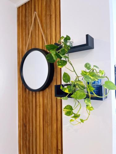 a mirror hanging on a wall with a plant at Departamento amoblado en Luque in Luque
