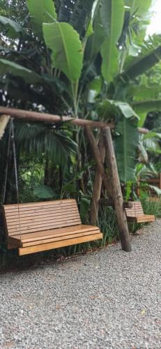 two wooden benches sitting in front of some plants at Recanto Schmidt in Aguas Mornas
