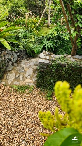 a garden with a stone path and plants at Xieng Retreat in Hanoi