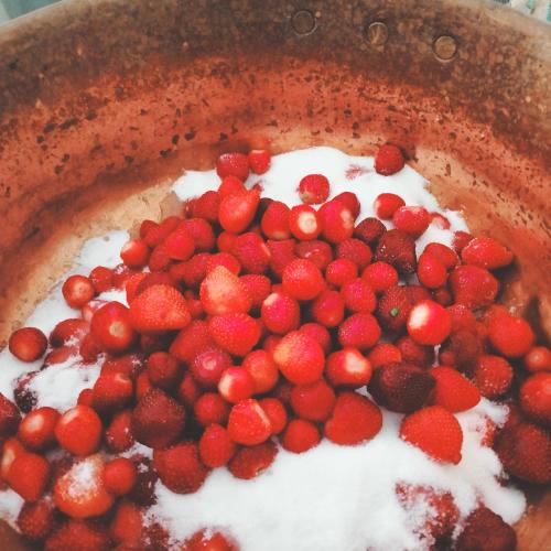 Photo de la galerie de l'établissement La Fée à Cheval, à Caumont-sur-Durance