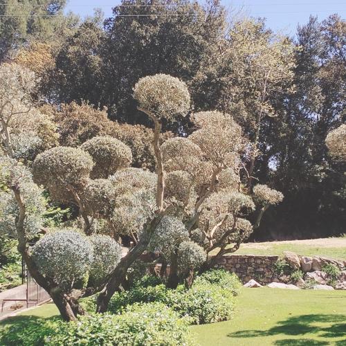 Photo de la galerie de l'établissement La Fée à Cheval, à Caumont-sur-Durance