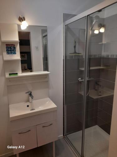 une salle de bain avec douche et lavabo dans l'établissement Appartement indépendant Broceliande, à Saint-Thurial