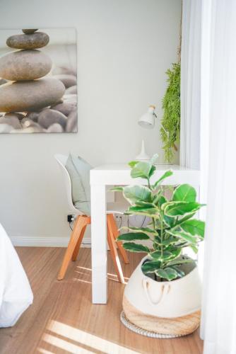 a living room with a plant and a white table at Diggers Beach Villa Coffs Harbour in Coffs Harbour