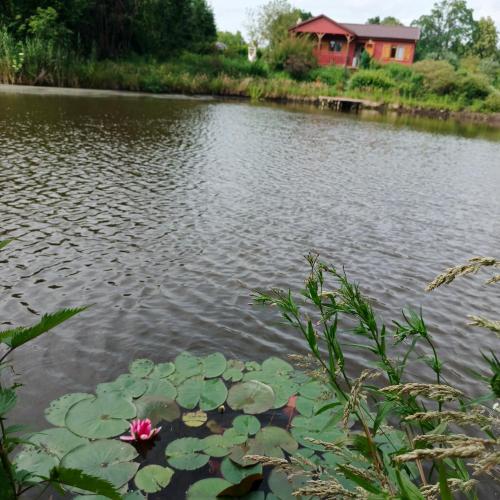 Výhled na řeku, která protéká v blízkosti kempu
