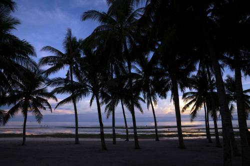 a group of palm trees on the beach at sunset at South Palms Resort and Spa Panglao - MGallery Collection in Panglao