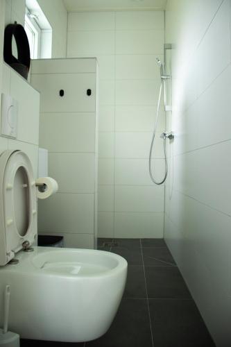 a white bathroom with a toilet and a shower at Koetshuis in Nes