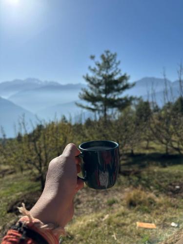 a person holding a coffee cup in a field at Hima 360 Vistaview Mountain Cabin, Bhatkanda in Sainj