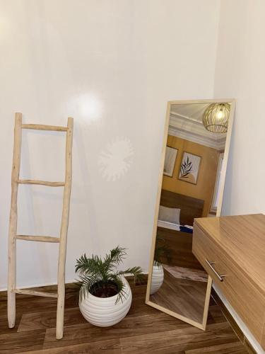 a room with a mirror and a plant on the floor at Julie's AIRPORT Apartment in Marrakech
