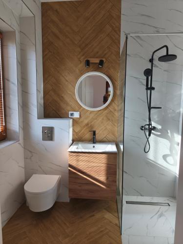 a bathroom with a sink and a toilet and a mirror at Villa Terra in Nałęczów