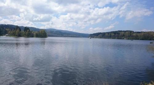 a large body of water with trees in the background at Hotel Barborka in Přední Výtoň