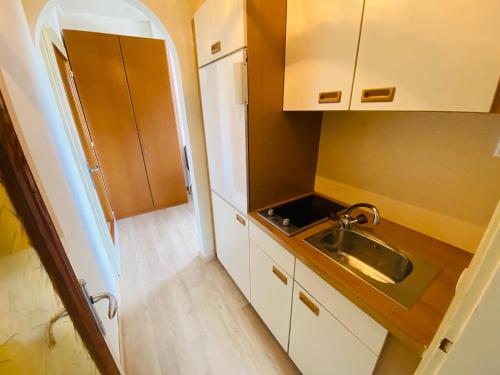 a small kitchen with a sink and a refrigerator at Villa Mira in Klopein am Klopeiner See