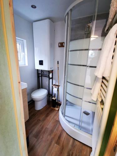 une salle de bain avec toilettes et douche en verre dans l'établissement La petite cabane, à Honfleur