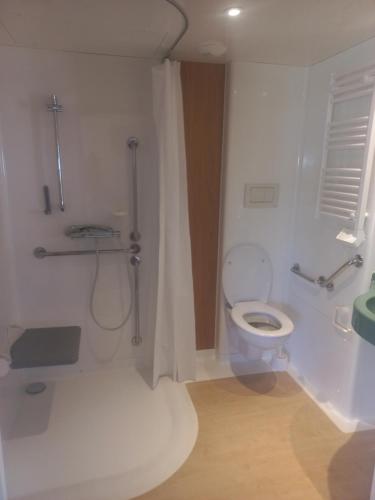 une salle de bain avec toilettes et douche dans l'établissement Cottage adapté PMR, à Ligné