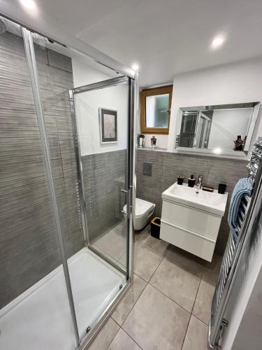 une salle de bain avec une douche, des toilettes et un lavabo dans l'établissement Abbaye Apartment Saint Jean D'Aulps, à Saint-Jean-dʼAulps
