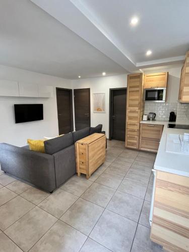 un salon avec un canapé et une cuisine dans l'établissement Abbaye Apartment Saint Jean D'Aulps, à Saint-Jean-dʼAulps