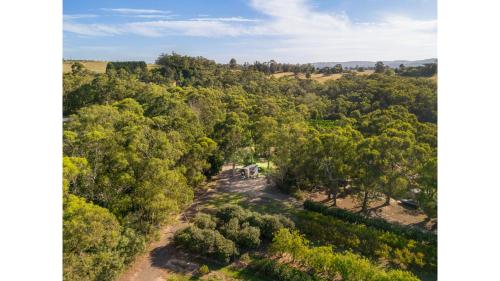 an aerial view of a forest of trees at Orange 1 by Tiny Away in Woori Yallock