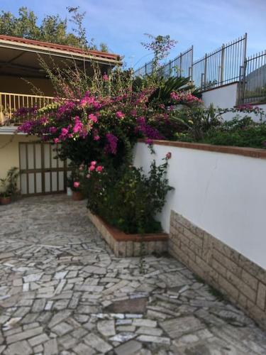 a garden with flowers on a white wall at Villa bella Diamante in Diamante