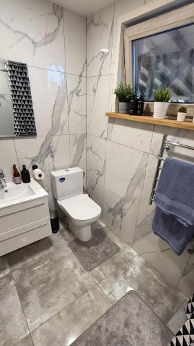 a bathroom with a white toilet and a sink at Rūdupji Maija in Kalniena