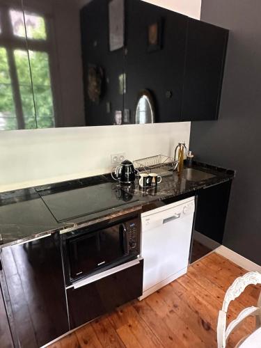 une cuisine avec une cuisinière et un comptoir dans l'établissement Appartement Maison Eugenie, à Luchon