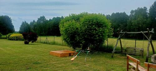 a tree and a wooden box in a field at Noclegi Tomaszkowo in Tomaszkowo