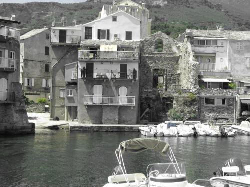 Φυσικό τοπίο κοντά σε αυτό το διαμέρισμα