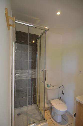 une salle de bain avec toilettes et douche en verre dans l'établissement STUDIO CASSIN - next to tramway line 2 near airport, à Nice