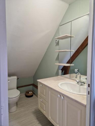 une salle de bain avec un lavabo et des toilettes dans l'établissement La Maison des Étoiles, à Marcey-les-Grèves
