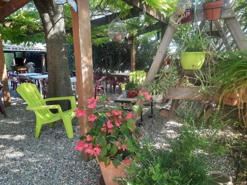 - un jardin avec une chaise verte et quelques fleurs dans l'établissement camping le pontet, à Saint-Martin-dʼArdèche