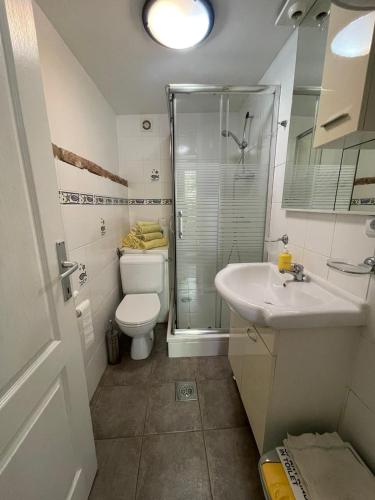 a bathroom with a toilet and a sink and a shower at Apartman sa suncem in Beli